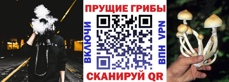 Галлюциногенные грибы GOLDEN TEACHER  Боготол 